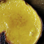 Lemon tart (tarte fine au citron)