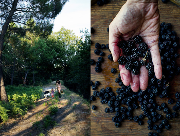 blackberries2